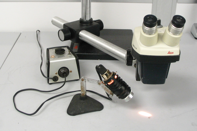 Leica StereoZoom Microscope